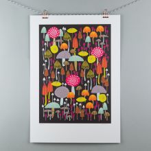 A3 toadstool & mushroom illustration