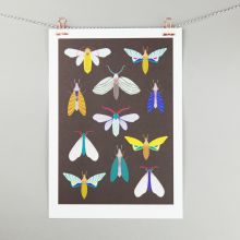 Moth illustration on dark background, A4 print