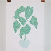 A4 art print, house plant illustration