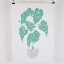 A3 begonia plant print