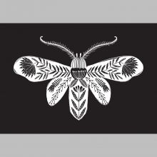 A3 folk art moth print