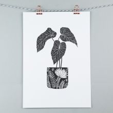 A4 black & white begonia illustration