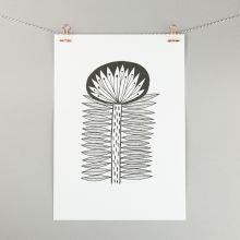 Single flower illustration, A4 print